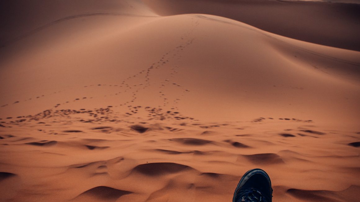voyage désert