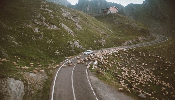 Où partir pour un road trip en Europe ?